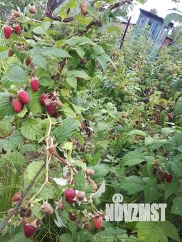 Дом 40м², 2-этажный, на длительный срок,