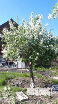 Дом 40м², 2-этажный, на длительный срок,