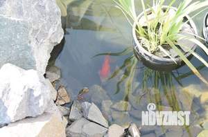 Дом 110м², 2-этажный, посуточно,