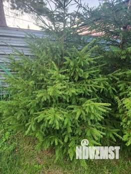 Дом 50м², 2-этажный, участок 8 сот.