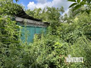 Дом 44м², 2-этажный, участок 4 сот.