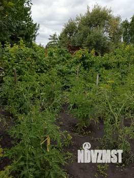 Дача 18м², 1-этажный, участок 7 сот.