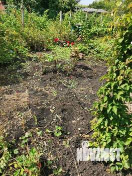 Дом 17м², 1-этажный, участок 484 сот.