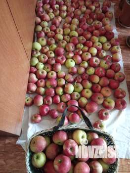 Дом 24м², 1-этажный, участок 5 сот.