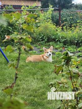 Дом 50м², 2-этажный, участок 8 сот.