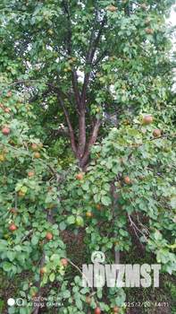 Дом 10м², 2-этажный, участок 4 сот.