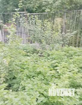 Дом 36м², 1-этажный, участок 5 сот.