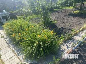 Дача 13м², 1-этажный, участок 5 сот.