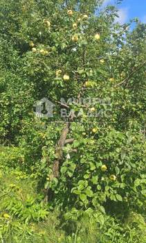 Дом 38м², 2-этажный, участок 10 сот.