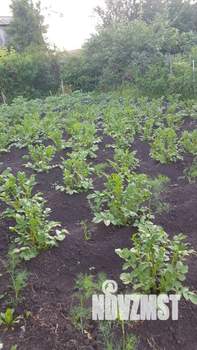 Дача 9м², 2-этажный, участок 11 сот.