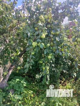 Дом 30м², 2-этажный, участок 5 сот.