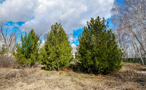 Дом 250м², 2-этажный, участок 6 сот.