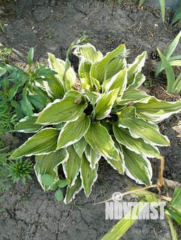 Дом 34м², 2-этажный, участок 6 сот.