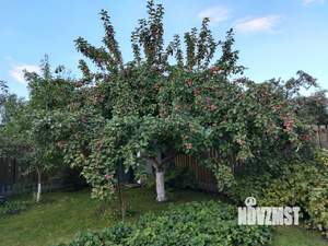 Дача 21м², 1-этажный, участок 4 сот.