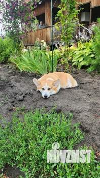 Дом 50м², 2-этажный, участок 8 сот.