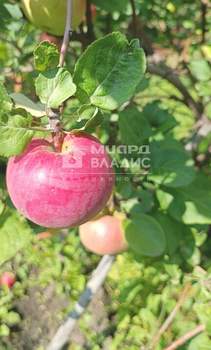 Дом 38м², 2-этажный, участок 10 сот.