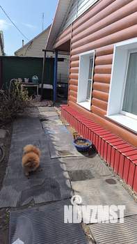 Дом 37м², 1-этажный, участок 1 сот.