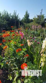 Дача 9м², 2-этажный, участок 11 сот.