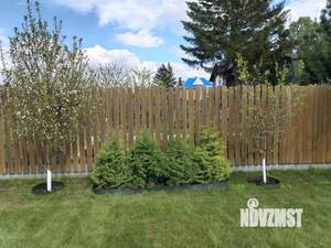 Дача 21м², 1-этажный, участок 4 сот.