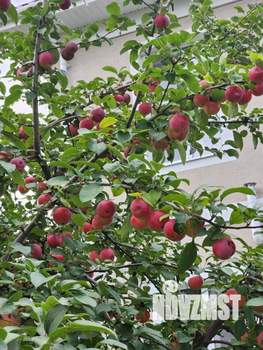 Дом 123м², 2-этажный, участок 6 сот.