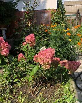 Дом 47м², 2-этажный, участок 6 сот.