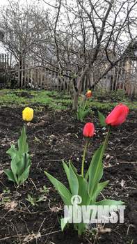 Дом 17м², 1-этажный, участок 5 сот.