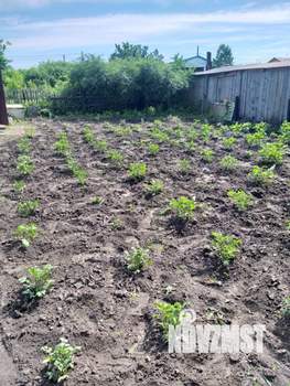 Дом 30м², 1-этажный, участок 6 сот.