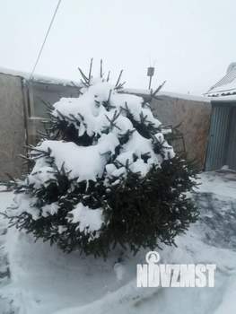 Дом 72м², 1-этажный, участок 3 сот.