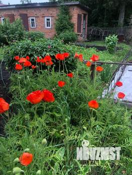 Дом 42м², 2-этажный, участок 6 сот.