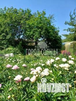 Дом 30м², 1-этажный, участок 7 сот.