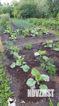 Дача 9м², 2-этажный, участок 11 сот.