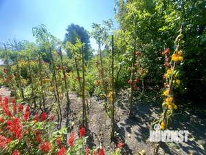 Дом 12м², 1-этажный, участок 7 сот.