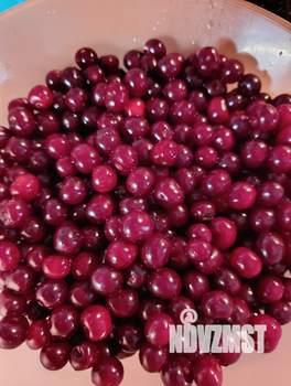 Дача 14м², 1-этажный, участок 5 сот.