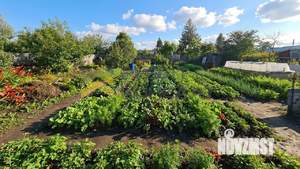 Дом 24м², 1-этажный, участок 7 сот.