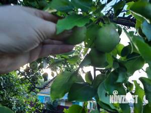 Дом 32м², 2-этажный, участок 7 сот.