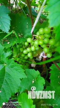 Дом 10м², 2-этажный, участок 4 сот.