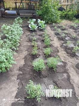 Дом 37м², 2-этажный, участок 5 сот.