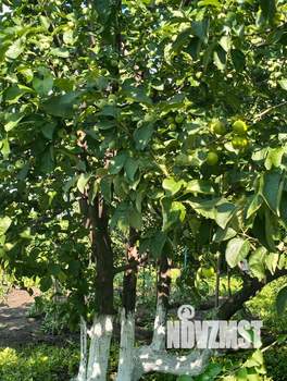 Дом 34м², 2-этажный, участок 6 сот.