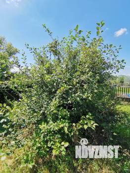 Дом 12м², 1-этажный, участок 6 сот.