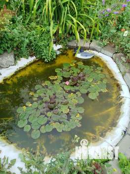 Дом 20м², 1-этажный, участок 10 сот.