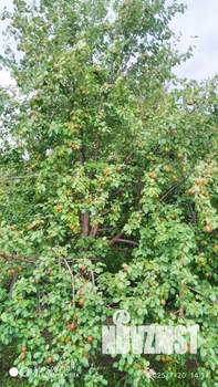 Дом 10м², 2-этажный, участок 4 сот.