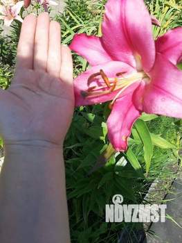 Дача 72м², 2-этажный, участок 6 сот.