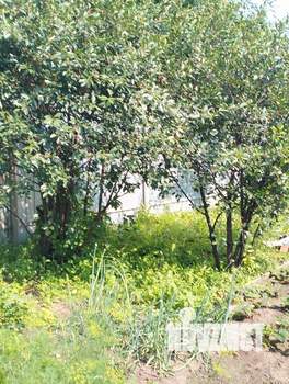 Дом 34м², 2-этажный, участок 6 сот.