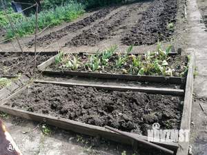 Дом 30м², 1-этажный, участок 5 сот.