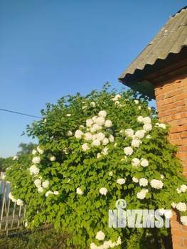 Дом 24м², 1-этажный, участок 7 сот.