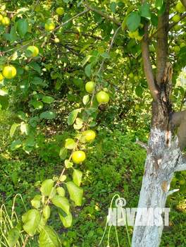 Дом 34м², 2-этажный, участок 6 сот.