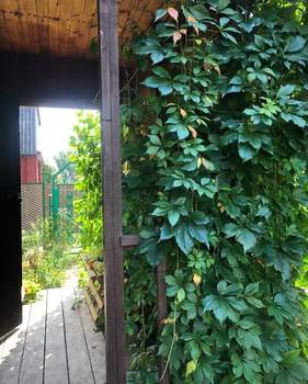 Дом 47м², 2-этажный, участок 6 сот.