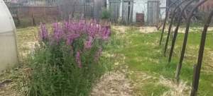 Дом 13м², 2-этажный, участок 6 сот.