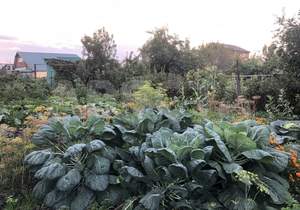 Дом 72м², 1-этажный, участок 4 сот.