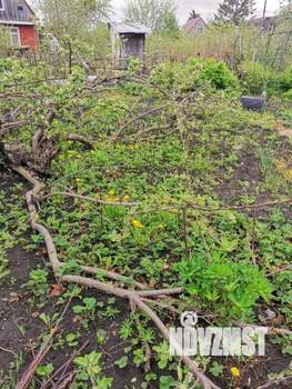 Дом 17м², 1-этажный, участок 484 сот.